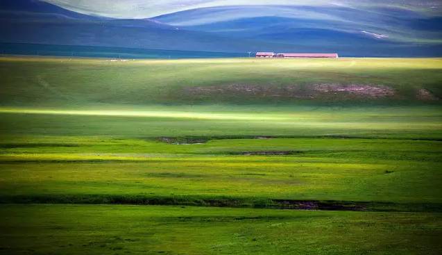 看湿小说 带有抒情或感性风格的小说