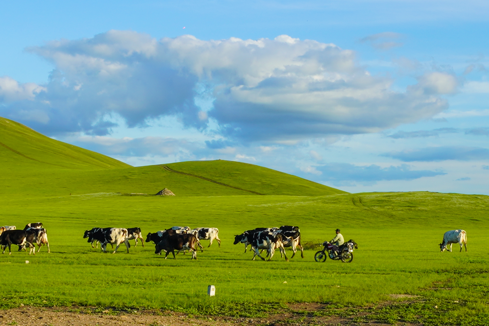 国产精品拍自在线