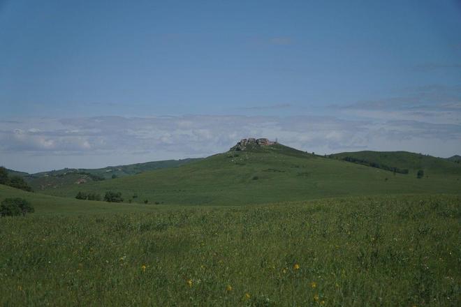 法国琢木鸟 法国我可以进一步解释