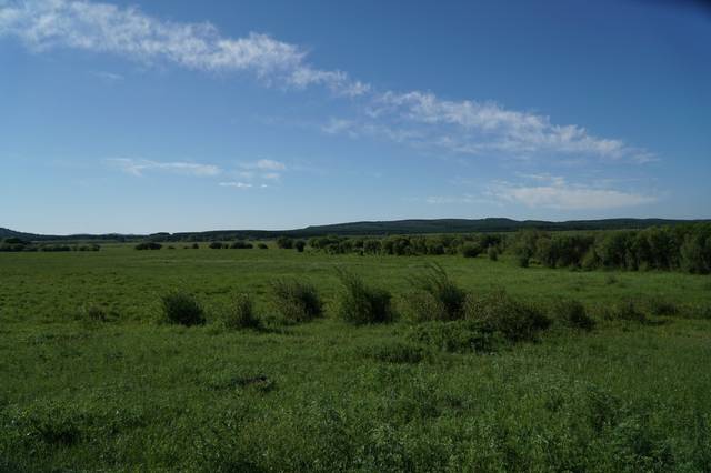 法国琢木鸟 法国我可以进一步解释