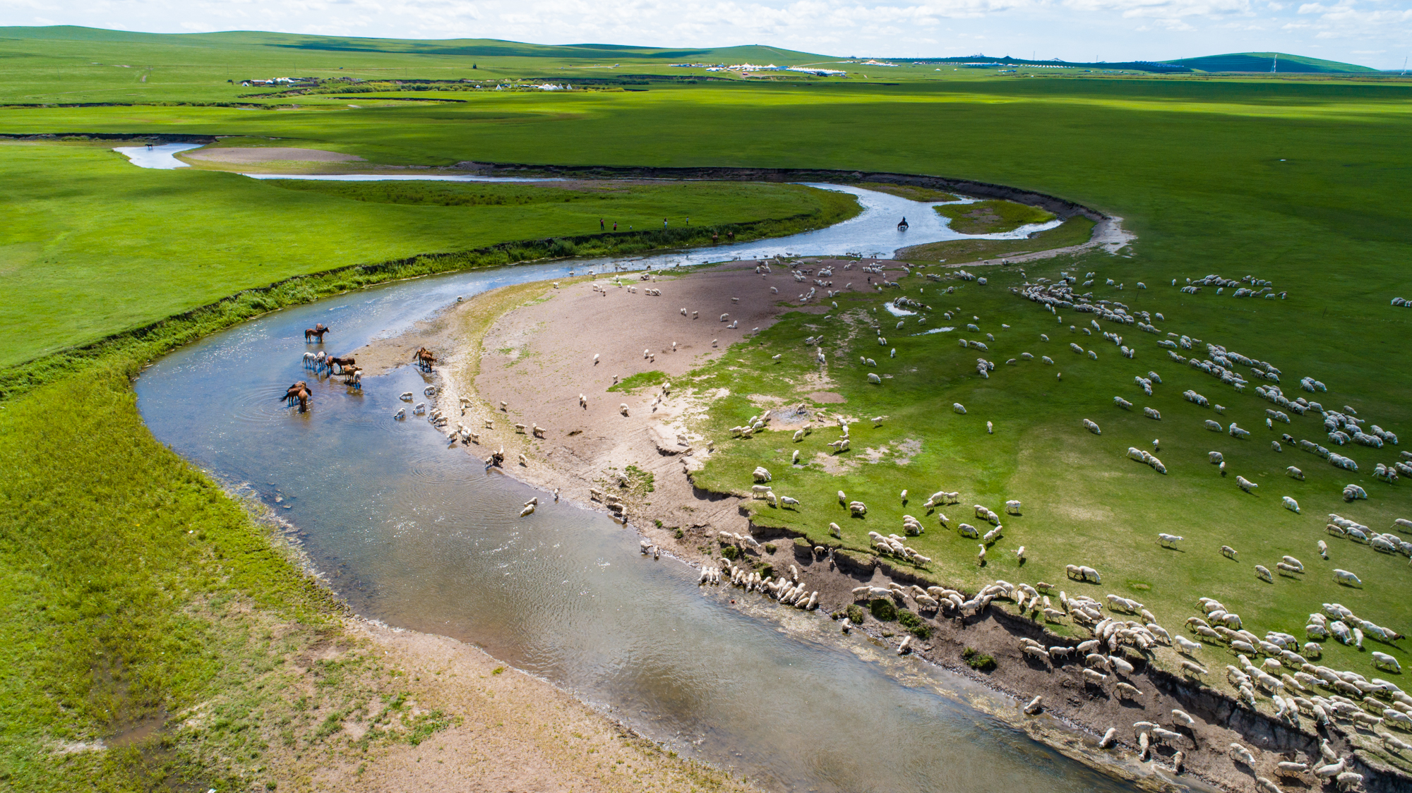 陈小野动画 科普知识或同人创作