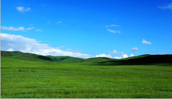 91精品国产九九九九九九亚洲