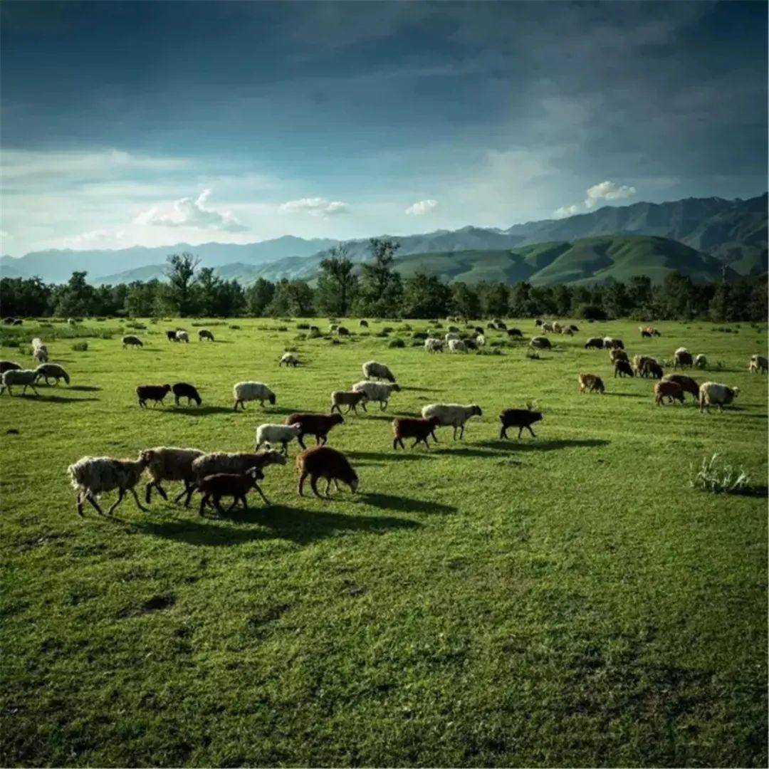 91精品国产九九九九九九亚洲 国产质量过硬的亚洲