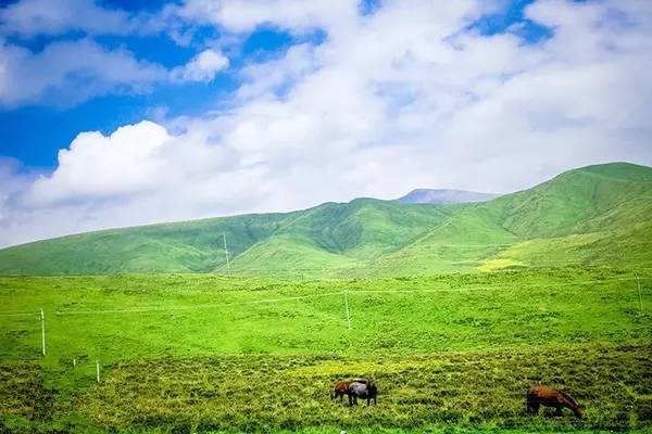 91精品国产九九九九九九亚洲 国产质量过硬的亚洲