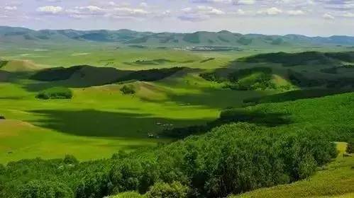 索视频 您可以告诉我更多细节