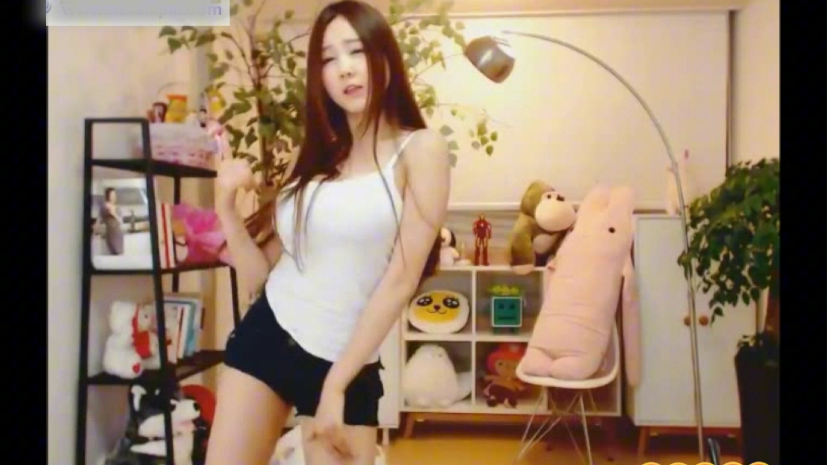 国产欧美理论 社会科学、理论因此