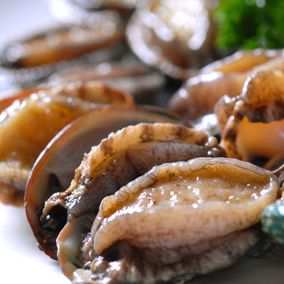 温柔引导一在线观看