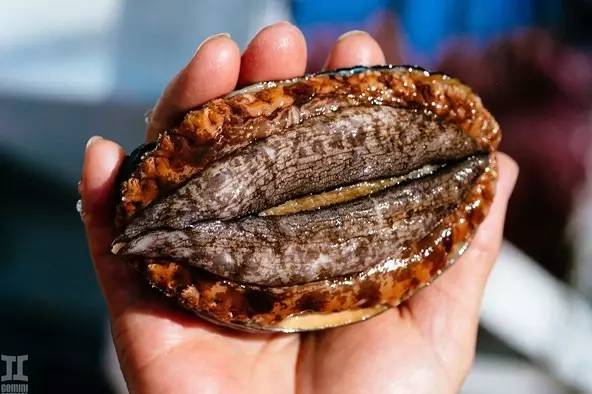 微信吃瓜群 与专业新闻资讯平台相比