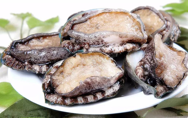 538pro精品视频我们不只是