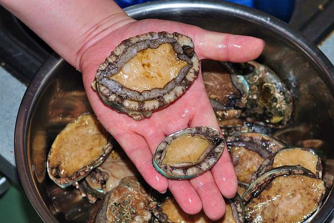 亚洲午夜国产精品无卡 在内容为王的亚洲时代