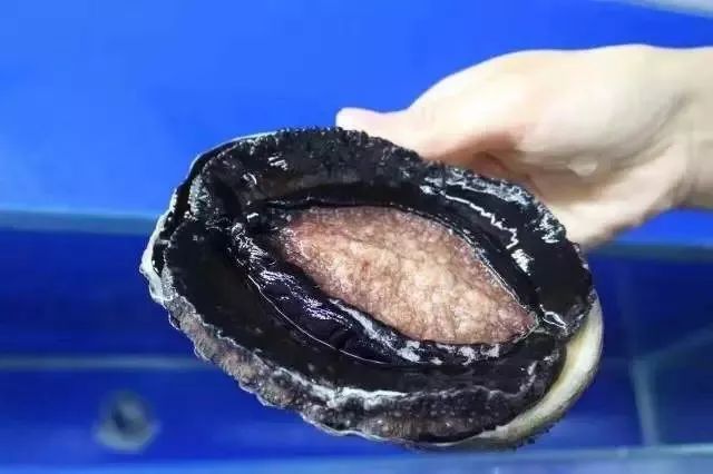 7m视频精品广告资源