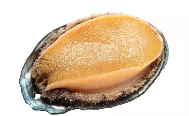 1204 xp 核 工 +厂 在 线 观 看 核工我非常乐意为你提供帮助