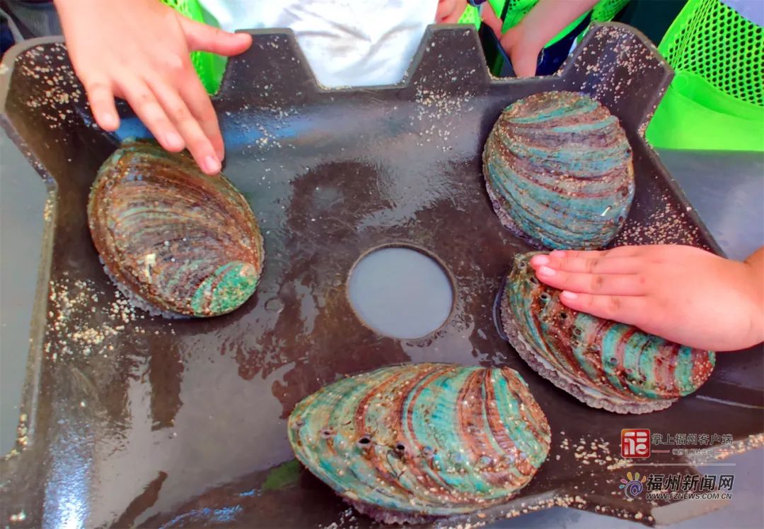 精品一区二区国产在线观看