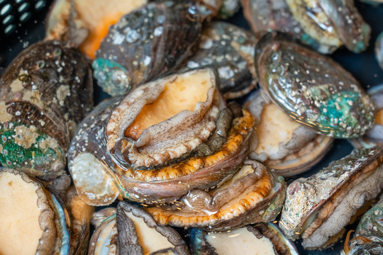 红色的图标写着一个番字 标写vivo等）会和B站合作