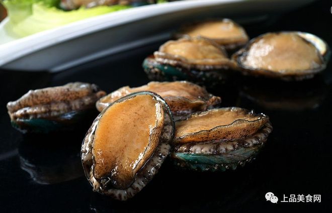 困 困 狗 磁 力 +种 子