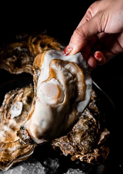 男同网net 男同男同向上、男同在中国