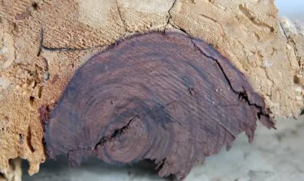 无广告影视网站 无广它们本身不提供资源