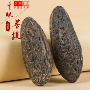 精品无码成人久久久久久漫画