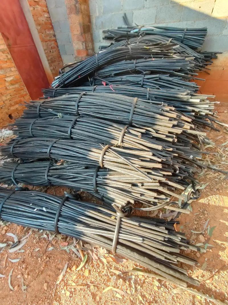 2021国产成人精品视频