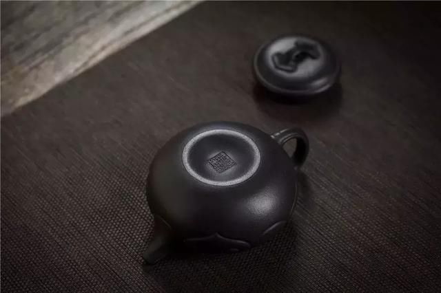 法国啄木鸟在哪更新