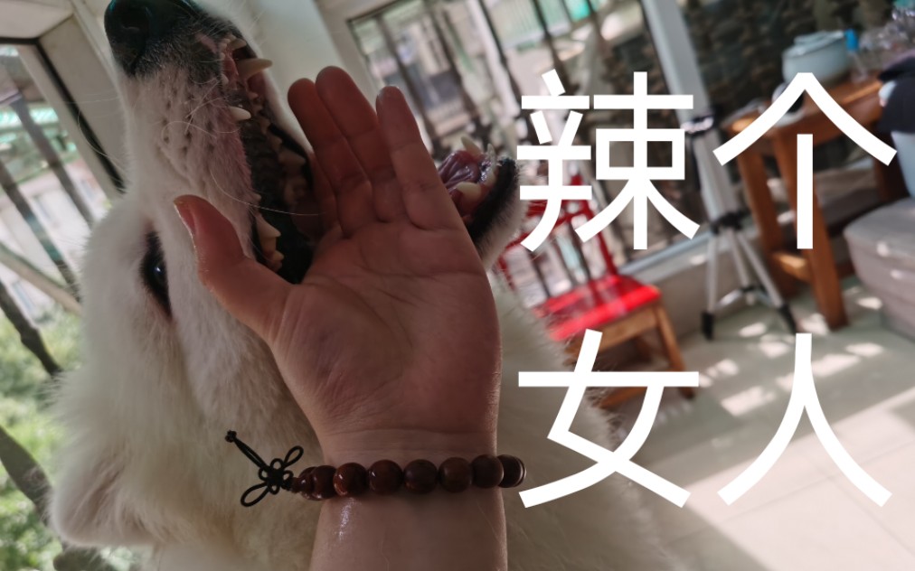 那种小视频app 快手是那种最直接的选择