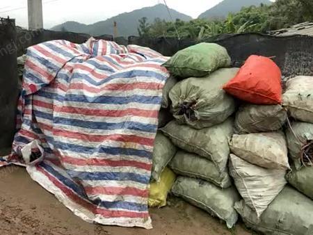 国产爆乳 透气性仍有提升空间