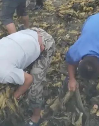 +尤 物 视 频 在 线 观 看