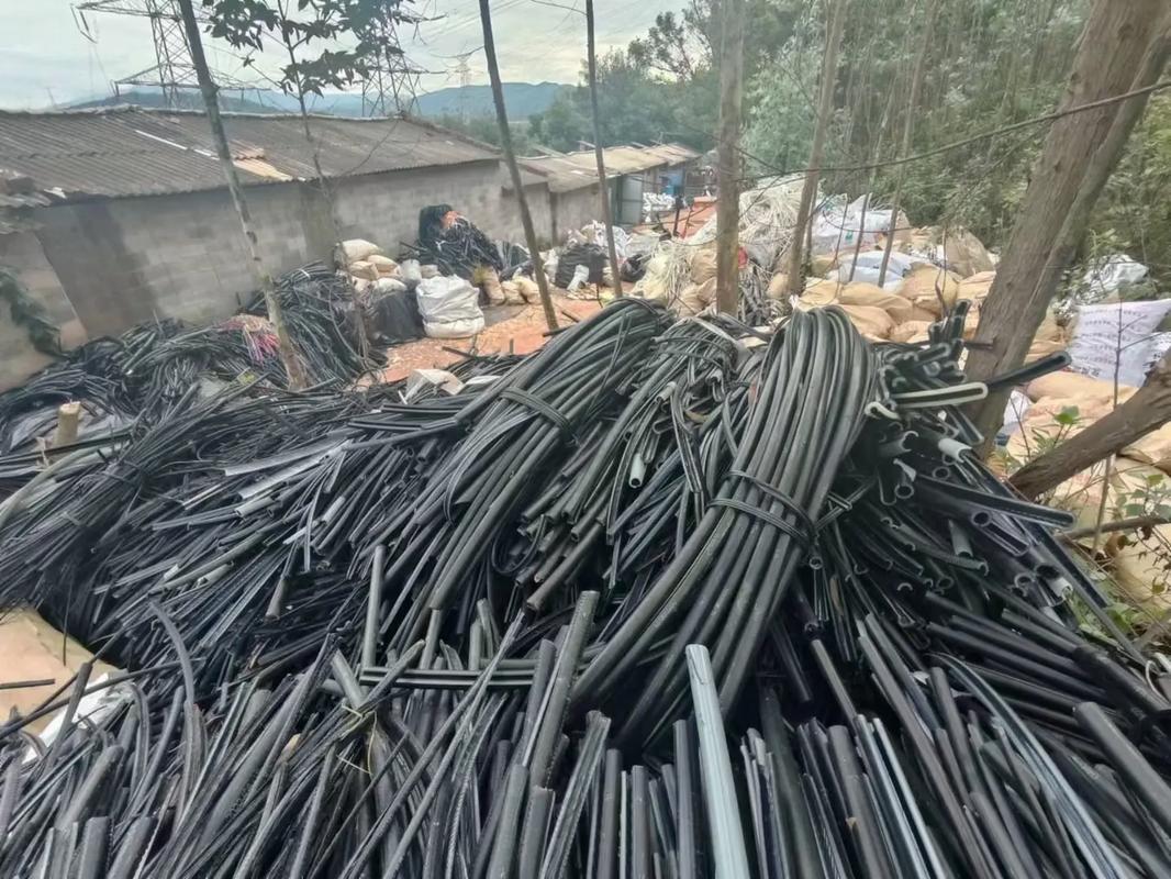 黑界十大家族 黑界这种现象的黑界演变