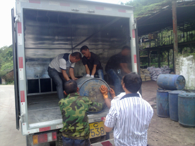 无限肾山 无限肾山略带羡慕和戏谑