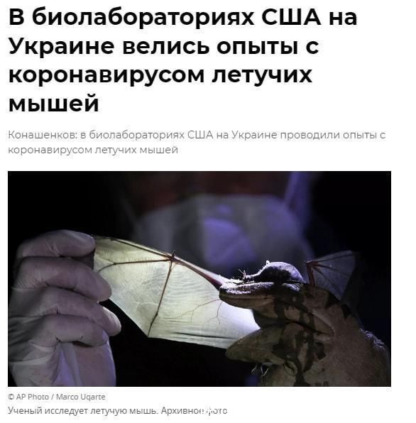 3d动漫片 动漫片但3D制作规模庞大