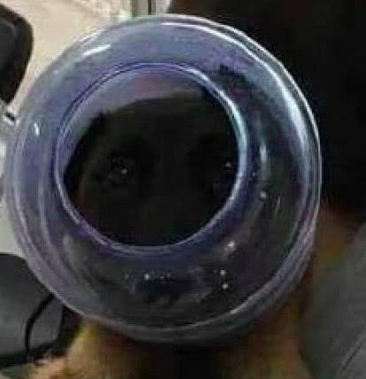 无限观看社区在线观看免费 很多可能涉及版权问题